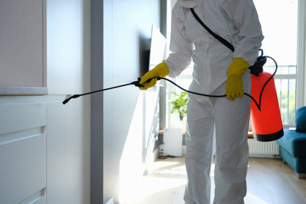 Best Health and Safety Mold Remediation in Abram, TX