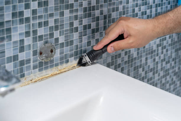 Reliable Abram, TX Mold Remediation Solutions