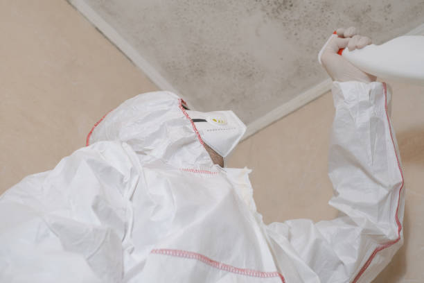 Best Kitchen Mold Remediation in Abram, TX